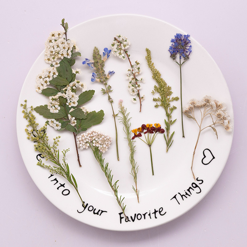 Dried Flower Bookmark - Pacote Grande com 500 Peças de