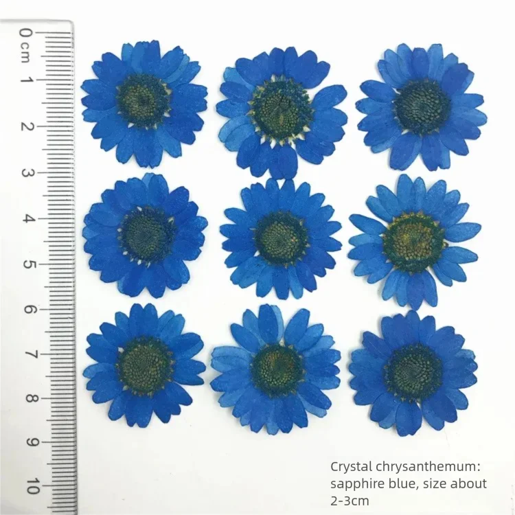 100 Peças de Pétalas de Crisân - Dried Flower Bookmark avaliação e preço
