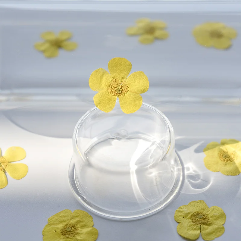 100 Peças de Ranúnculos Secos, - Dried Flower Bookmark avaliação e preço